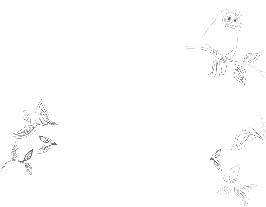 pustikCB