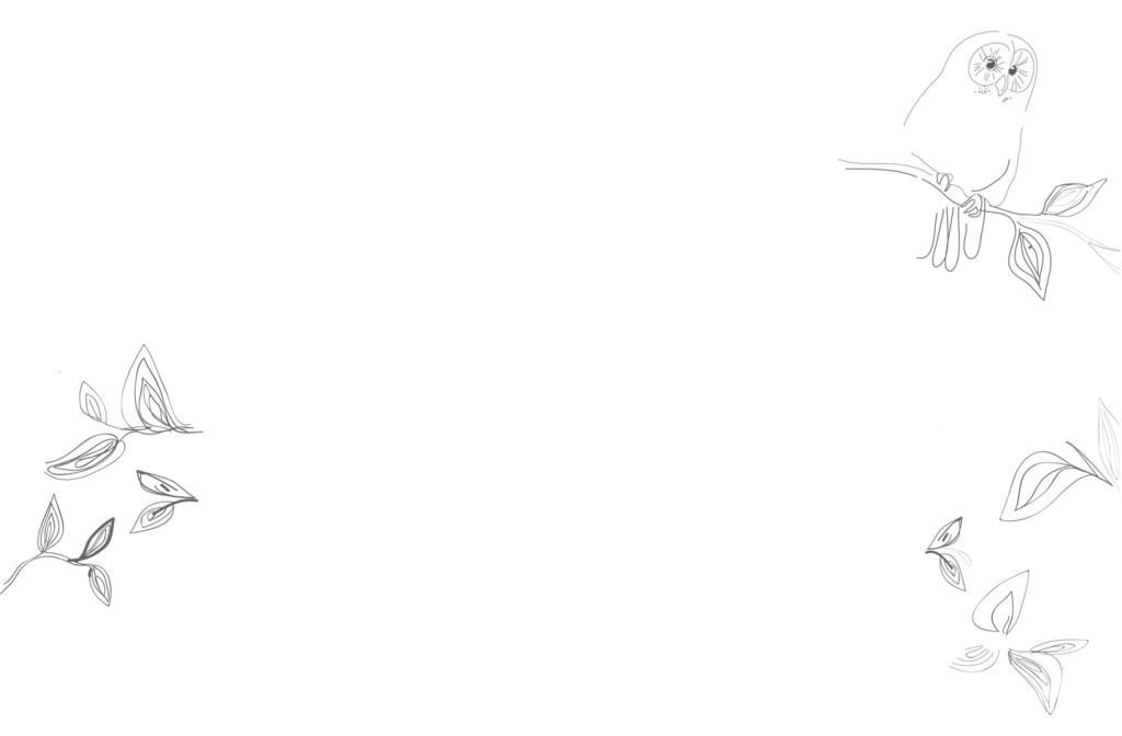 pustikCB1